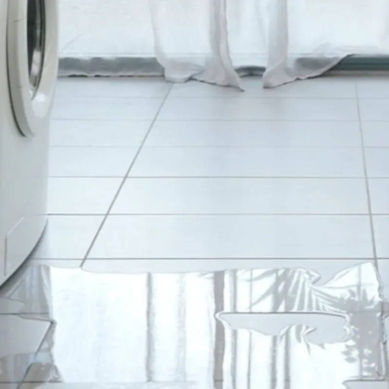 Appliance Leak Cleanup in Anderson County, KS