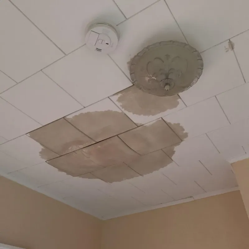 Ceiling Water Damage Repair in Anderson County, KS