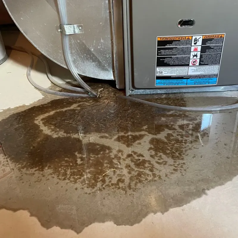 Pipe Burst and Leak Restoration in Anderson County, KS