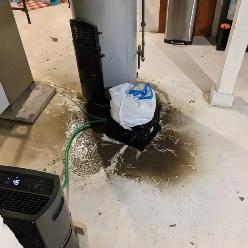 Sewage Backup Cleanup Service in Anderson County, KS